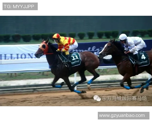 湖人骑士对决回顾：2018年11月22日的精彩瞬间与赛后分析